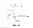 Fig. 35 - NOVEL GERM CELL ABLATION COMPOUNDS AND USES THEREOF