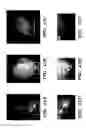 Fig. 40 - NOVEL GERM CELL ABLATION COMPOUNDS AND USES THEREOF