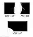 Fig. 41 - NOVEL GERM CELL ABLATION COMPOUNDS AND USES THEREOF
