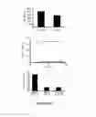 Fig. 06 - Transgenic mice having a human major histocompatibility complex (MHC) phenotype, experimental uses and applications