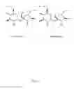 Fig. 03 - Cryopreservation using sucralose