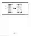 Fig. 04 - Cryopreservation using sucralose