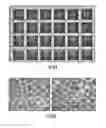 Fig. 05 - Ready-to-print cells and integrated devices