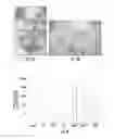 Fig. 06 - Ready-to-print cells and integrated devices