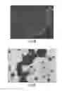 Fig. 08 - Ready-to-print cells and integrated devices