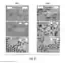 Fig. 09 - Ready-to-print cells and integrated devices