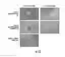 Fig. 17 - Ready-to-print cells and integrated devices