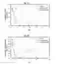 Fig. 04 - CITRUS-BASED ANTIMICROBIAL COMPOSITION