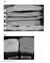 Fig. 02 - GLUTEN-FREE BREAD