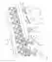 Fig. 03 - Device and method for changing the orientation of slaughter products