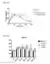 Fig. 09 - METHOD FOR INCREASING ABSORPTION OF PLANT DERIVED PROTEINS