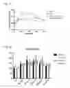 Fig. 22 - METHOD FOR INCREASING ABSORPTION OF PLANT DERIVED PROTEINS