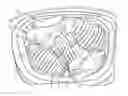 Fig. 01 - METHOD OF PREPARING AND DISPLAYING TURKEY MEAT