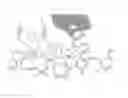 Fig. 01 - Apparatus comprising a tipping paper suction drum