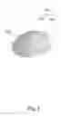 Fig. 05 - BRASSIERE