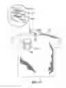 Fig. 07 - Sending messages wirelessly from a garment