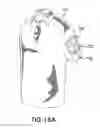 Fig. 46 - Sending messages wirelessly from a garment