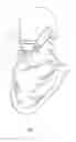 Fig. 06 - SEPARABLE FACE MASK STRUCTURE