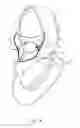 Fig. 09 - SEPARABLE FACE MASK STRUCTURE