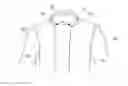 Fig. 01 - Sterilized Gown