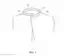 Fig. 03 - Sterilized Gown