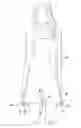 Fig. 01 - Garment Weighting Apparatus