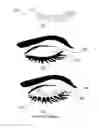 Fig. 02 - Method for applying eyelash extensions via strip weaving