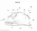 Fig. 07 - Hard hat