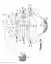 Fig. 16 - Article with at least two securable inlaid strands