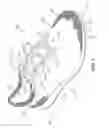 Fig. 02 - Article of footwear incorporating a knitted component with an integral knit tongue
