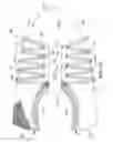 Fig. 14 - Article of footwear incorporating a knitted component with an integral knit tongue