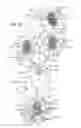 Fig. 24 - Footwear having sensor system