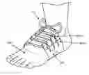 Fig. 01 - Suspension bridging shoe