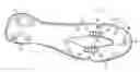 Fig. 01 - Footwear sole assembly with insert plate and nonlinear bending stiffness