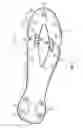 Fig. 02 - Footwear sole assembly with insert plate and nonlinear bending stiffness