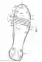 Fig. 02 - Footwear sole structure with compression grooves and nonlinear bending stiffness