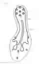 Fig. 09 - High heel shoe
