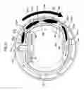 Fig. 11 - Rotary airless compact