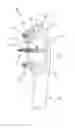 Fig. 01 - Oral care implement