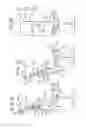 Fig. 15 - Chair