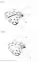 Fig. 03 - Molded Seat