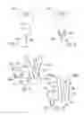 Fig. 02 - APPARATUS AND METHOD TO FACILITATE HANGING WALL ART