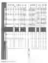 Fig. 05 - CUTTING GUIDE FOR RECTANGULAR BAKED GOODS