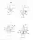 Fig. 17 - BIOPSY DEVICES, SYSTEMS, AND METHODS FOR USE