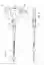 Fig. 02 - Endocranial endoscope