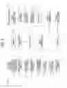 Fig. 03 - Accommodation function evaluation apparatus