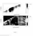 Fig. 05 - Method for Identifying Images of Brain Function and System Thereof