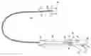 Fig. 01 - Catheter having a sensor and an extended working channel