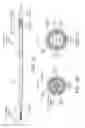 Fig. 02 - Method and apparatus for registration, verification and referencing of internal organs