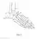 Fig. 02 - METHOD AND SYSTEM FOR COLLECTION OF FOOT GEOMETRY DATA